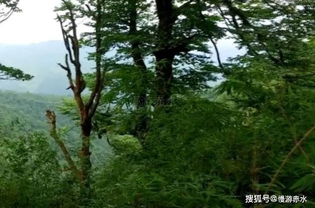 《繁花》出品方回应侵权，歌手黄安发文称有收到制作方费用